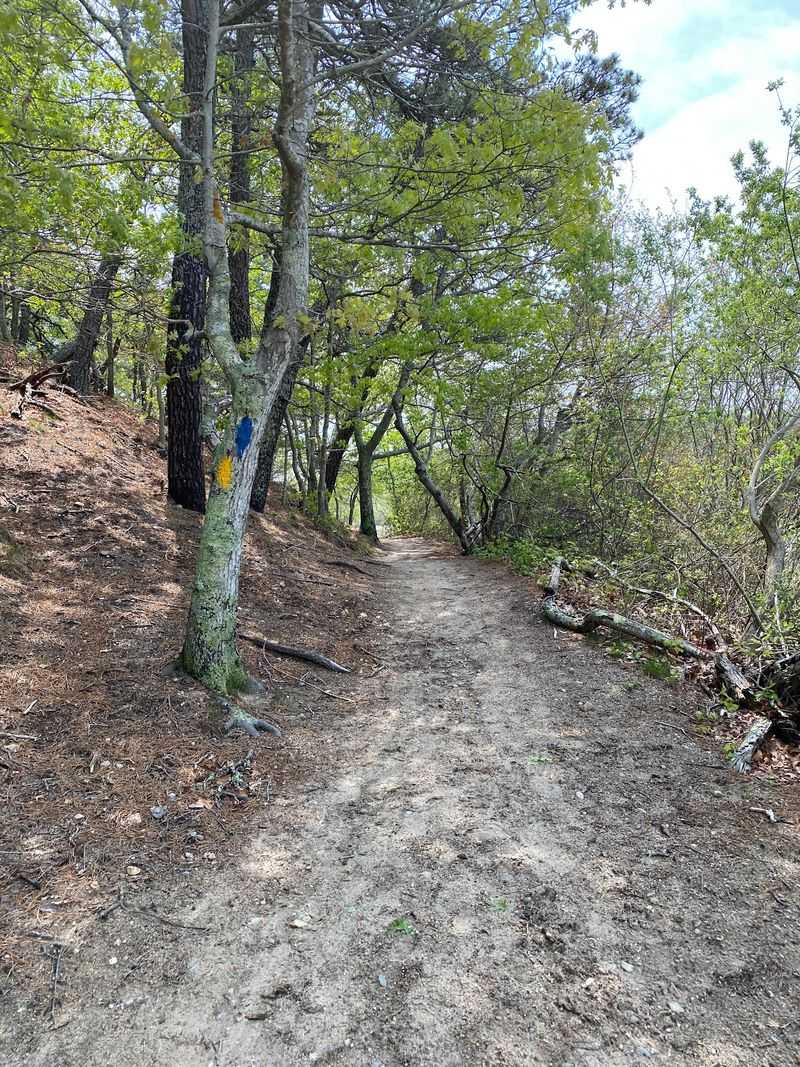 The Loop Trail That Keeps Changing Its Scenery The Loop Trail That Keeps Changing Its Scenery
