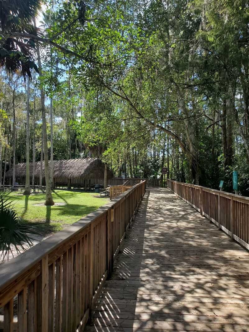 The Mile-Long Boardwalk Through the Cypress Dome The Mile-Long Boardwalk Through the Cypress Dome