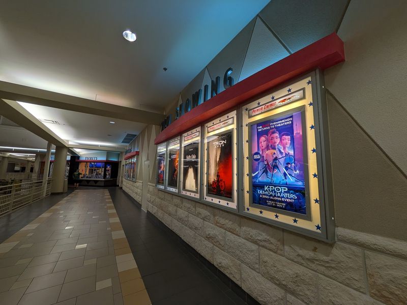 The Movie Theater Chapter