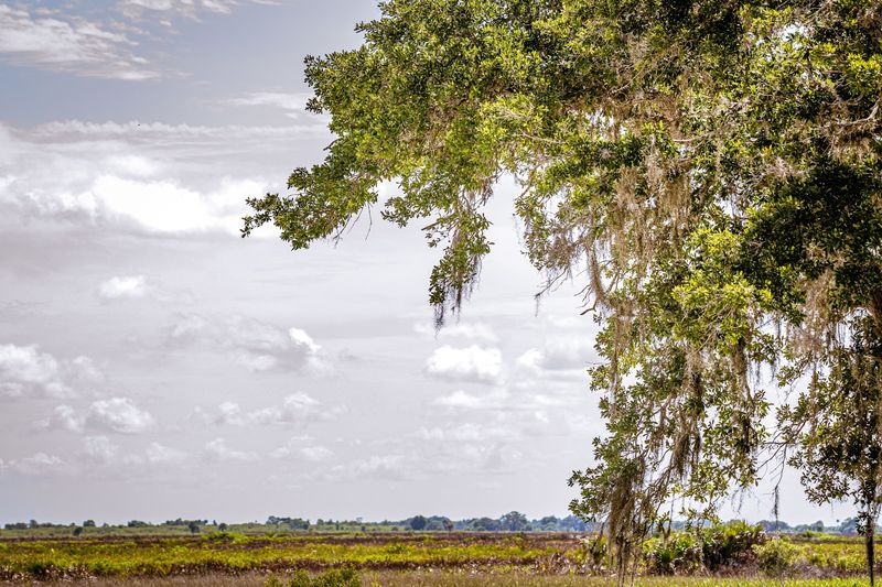 The Old Florida Story Written Into the Land