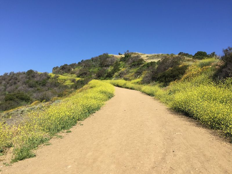 The Parker Valley Setting