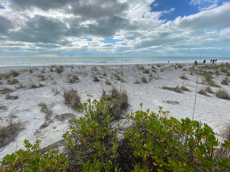 The Quiet That Feels Like Old Florida The Quiet That Feels Like Old Florida