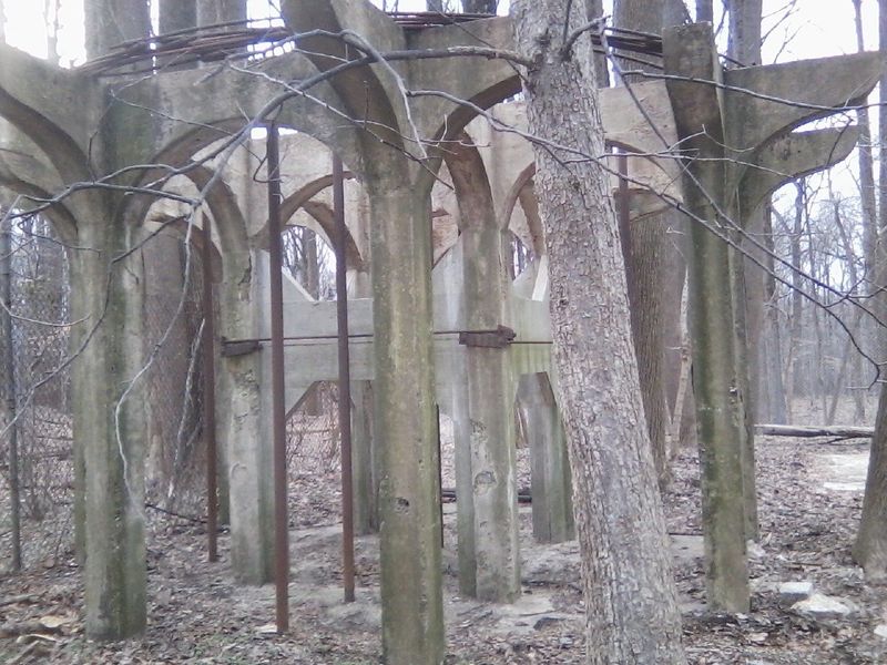 The Ruins That Still Stand Among The Trees