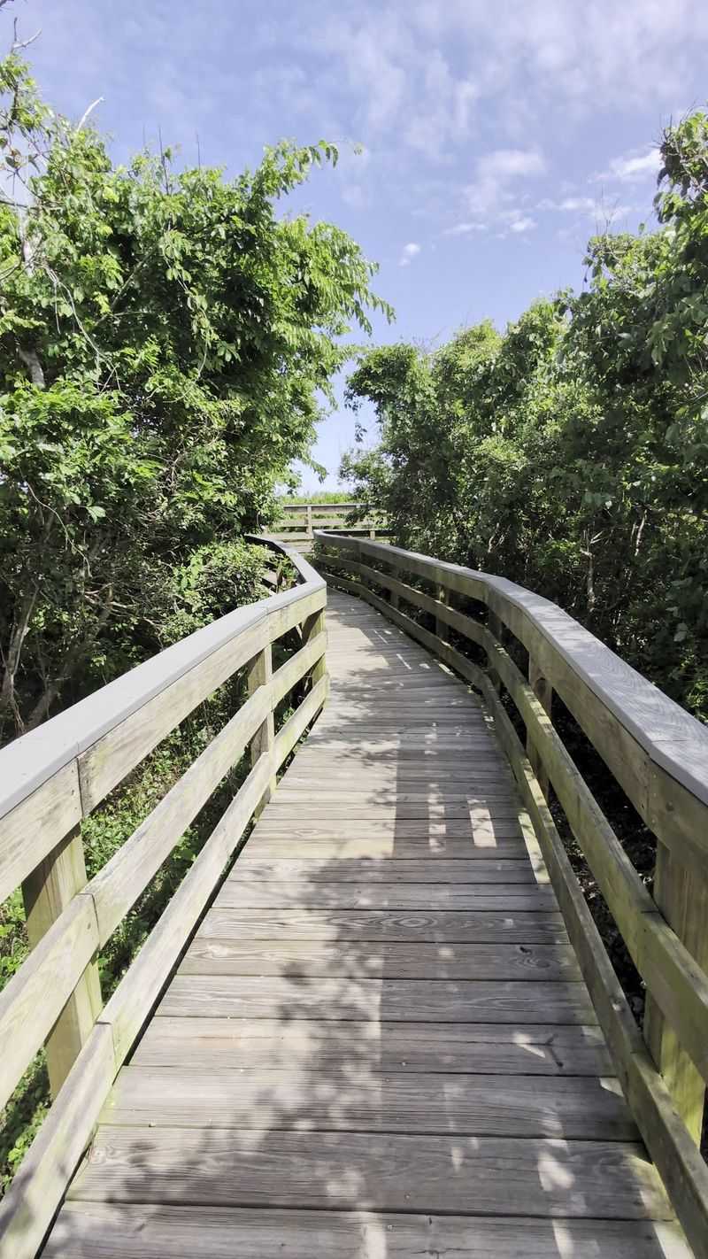 The Short Boardwalk That Does the Climbing for You