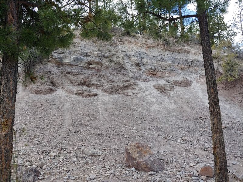 The Slope Where The Shells Show Up The Slope Where The Shells Show Up
