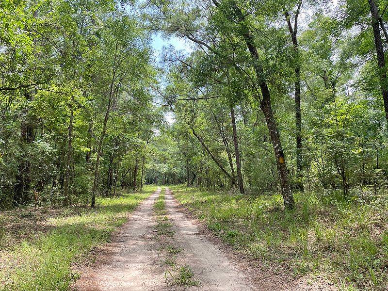 The Trail Reaches Ellaville’s Former Town Site The Trail Reaches Ellaville’s Former Town Site
