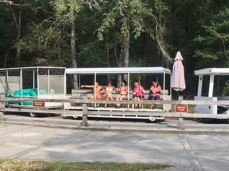 The Tram That Saves Your Legs The Tram That Saves Your Legs