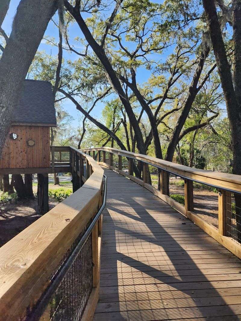 The Treehouse That Steals the Show