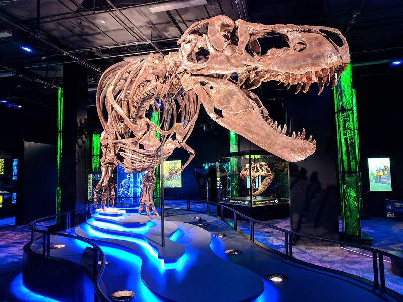 The Verdict On Trading Field Trips For Date Night