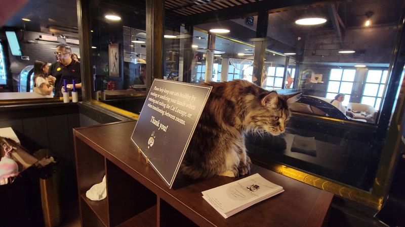 The Window Bar for Waiting Guests