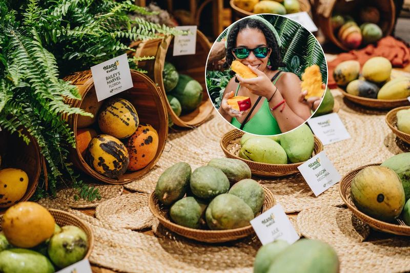 The event combined mango tasting with agricultural education The event combined mango tasting with agricultural education