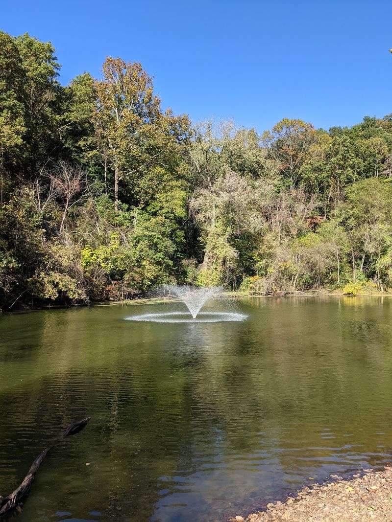 The pond brings the whole park together The pond brings the whole park together