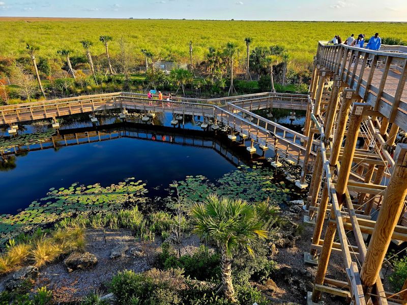 Three Levels of Everglades Views