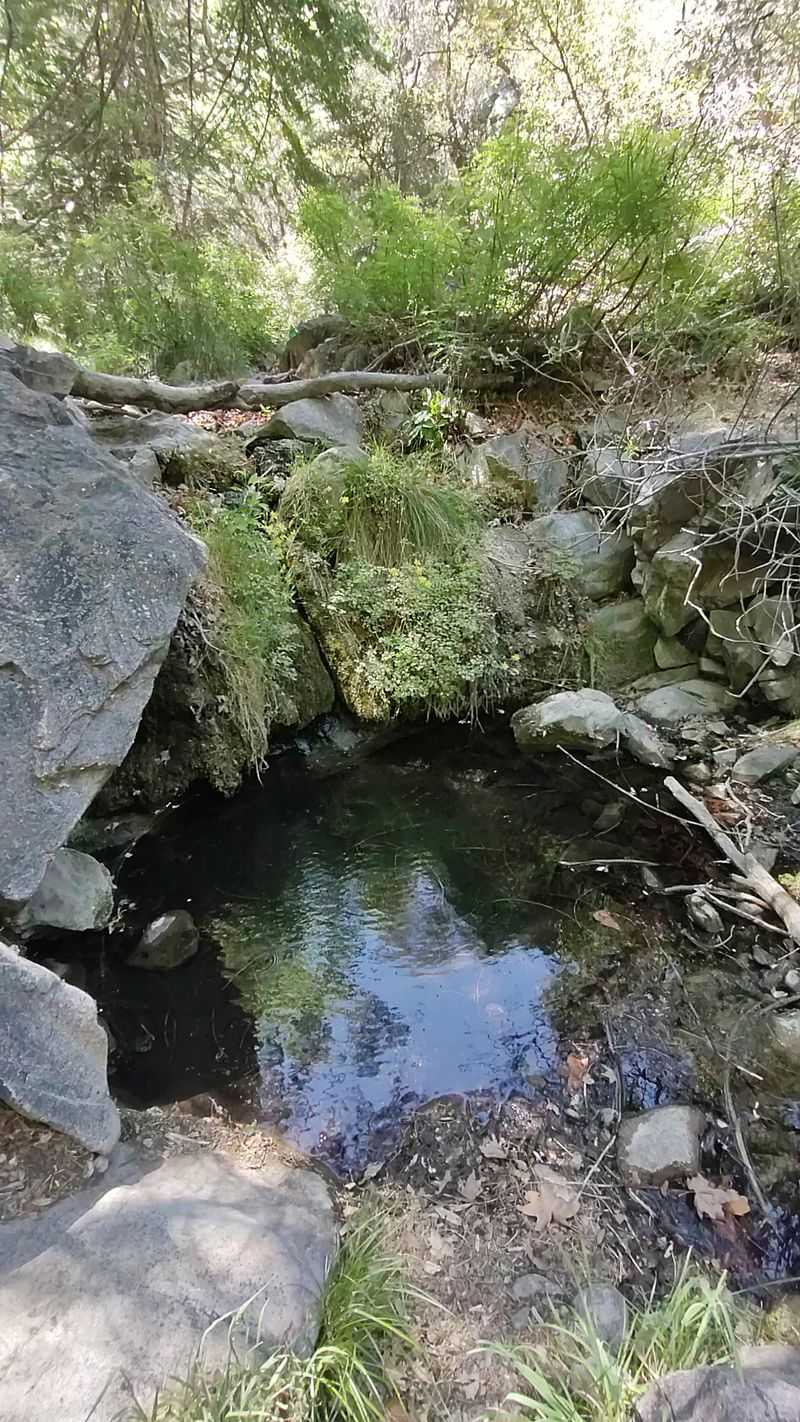 Trails, Canyons, And Room To Roam Trails, Canyons, And Room To Roam