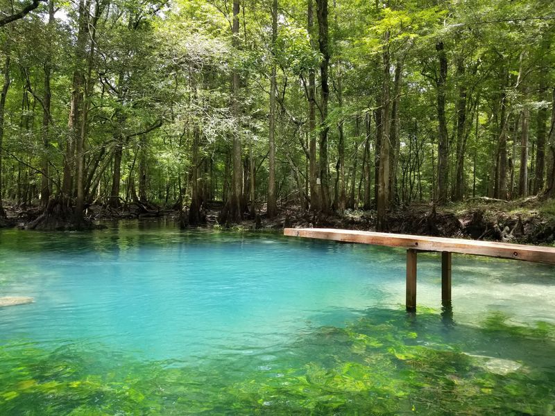 Trails, Springs, and Blue Hole Above Ground