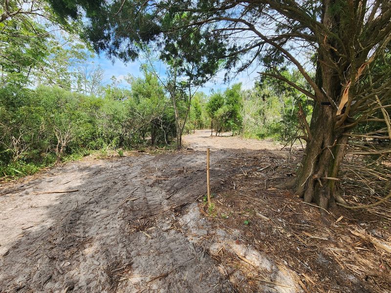 Trails That Keep Growing