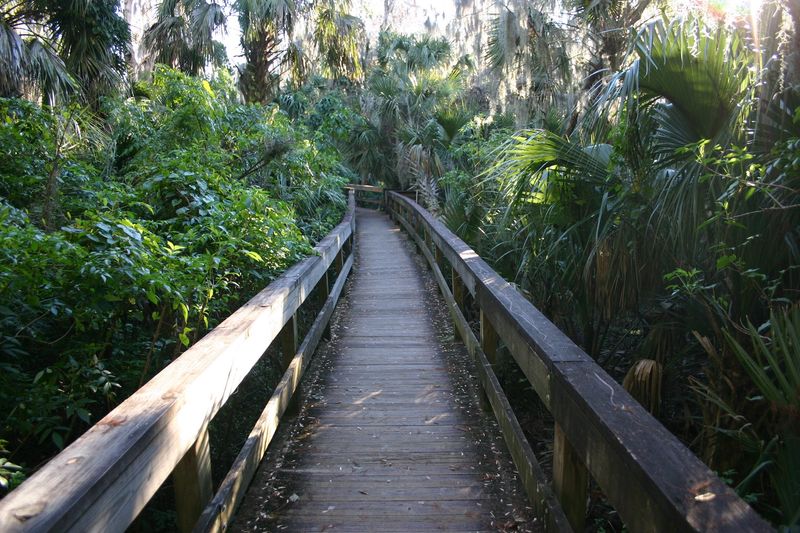 Trails That Lead Away From the Water Trails That Lead Away From the Water