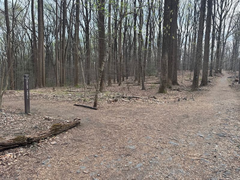Trails That Skip The Crowds