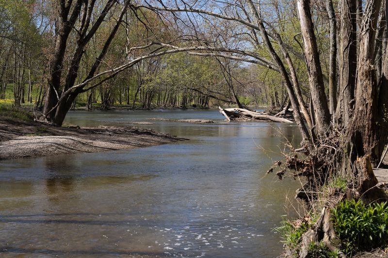 Trails That Wind Down To The River Trails That Wind Down To The River