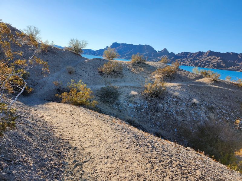 Trails With a View of the Lake