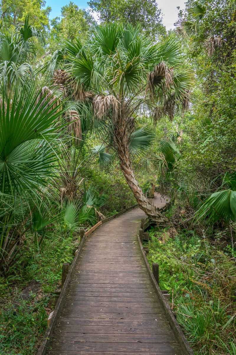 Trails and the Boardwalk Situation Trails and the Boardwalk Situation