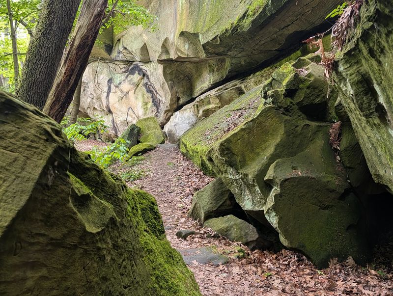 Trails for Casual Strolls and Stronger Hikes Trails for Casual Strolls and Stronger Hikes