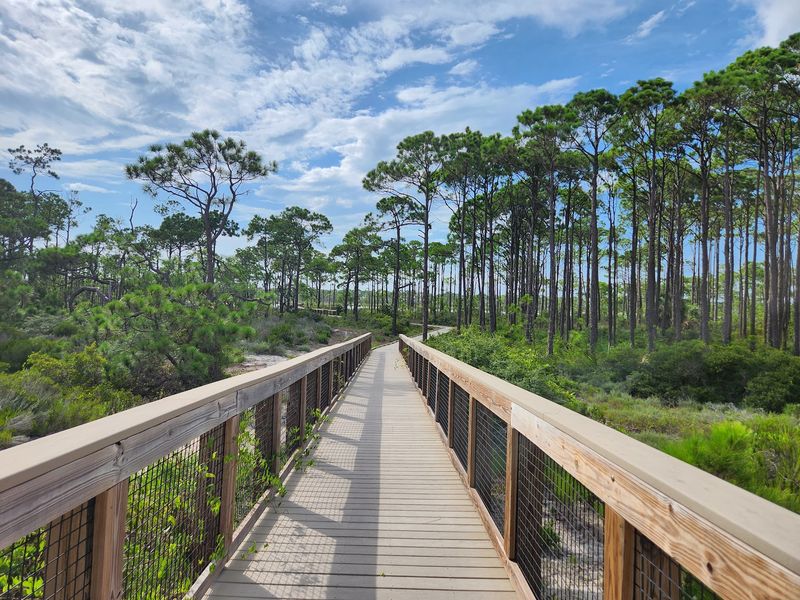 Trails for Walking, Running, and Rolling