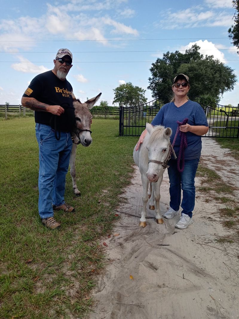 Trekking Alongside Llamas, Alpacas, and Donkeys Trekking Alongside Llamas, Alpacas, and Donkeys