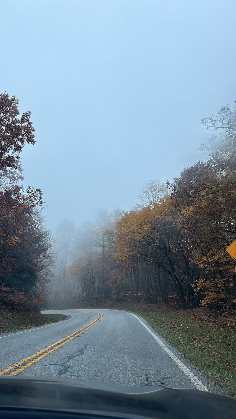Twisty Roads That Keep Drivers On Their Toes Twisty Roads That Keep Drivers On Their Toes
