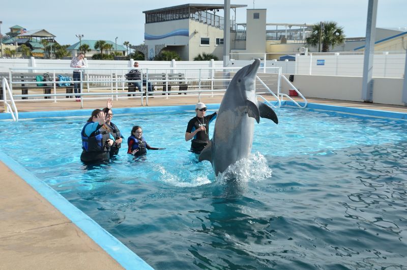 Up-Close Animal Encounters Worth Booking Up-Close Animal Encounters Worth Booking