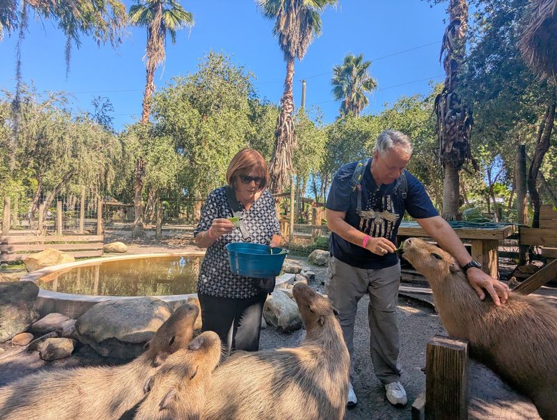 Up-Close Animal Encounters