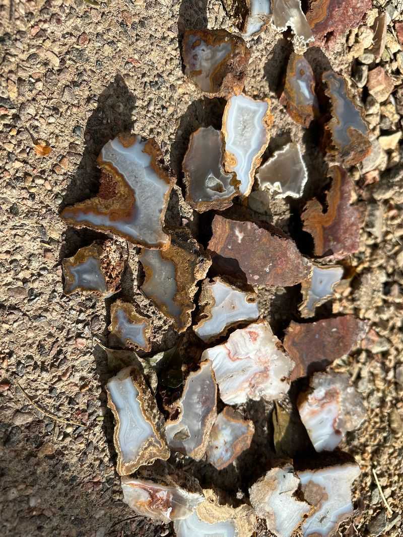 Verde Valley Agate and Jasper Grounds, near Camp Verde