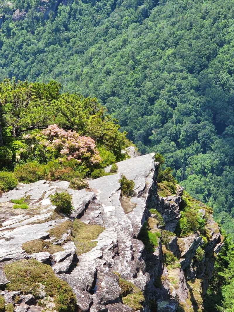 Views From The Frying Pan Lookout