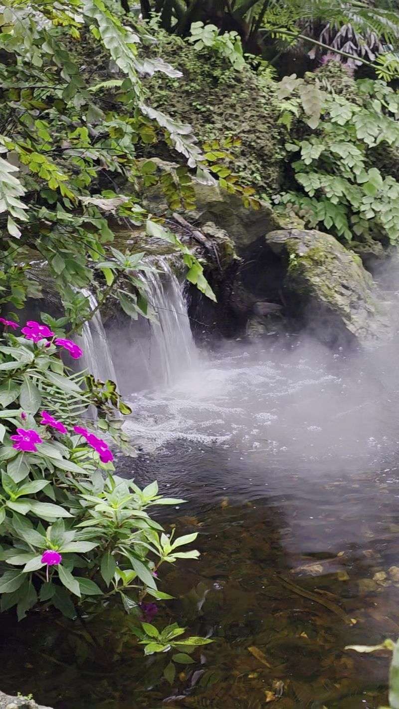 Waterfalls, Creek, and Bamboo Music Waterfalls, Creek, and Bamboo Music
