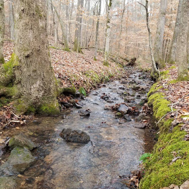 Waterfalls, Creeks, And Small Surprises Waterfalls, Creeks, And Small Surprises