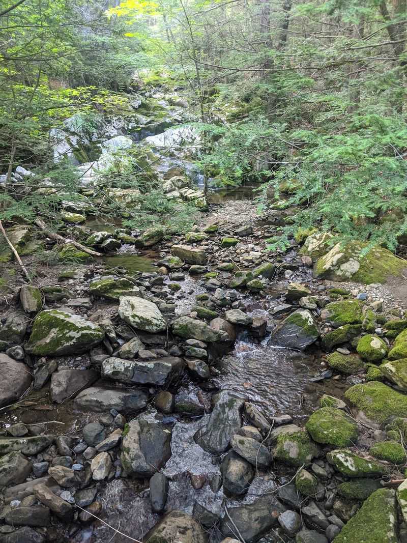 Waterfalls, Mosses, and a Magical Forest Waterfalls, Mosses, and a Magical Forest