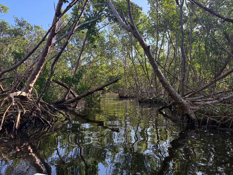 Weedon Island Preserve, St. Petersburg, Florida