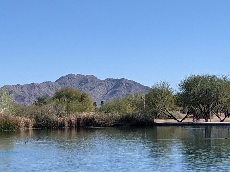 Wetlands and Desert Landscape at Veterans Oasis Park Wetlands and Desert Landscape at Veterans Oasis Park