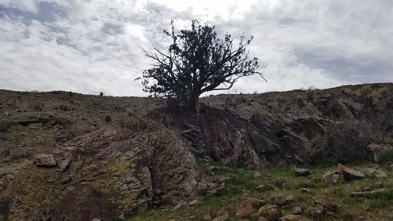 When Rain Turns the Route Rough When Rain Turns the Route Rough