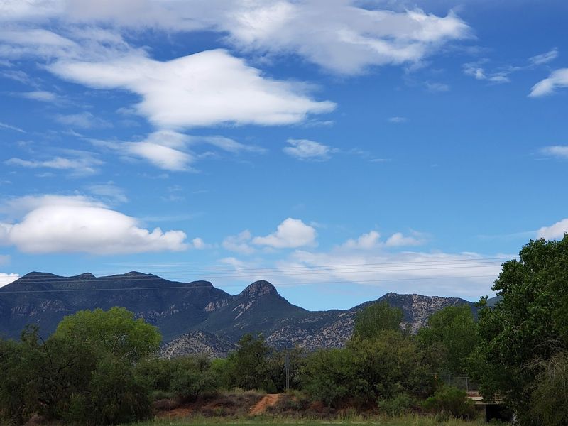 Where Arizona Keeps Its Feathered Secret Where Arizona Keeps Its Feathered Secret