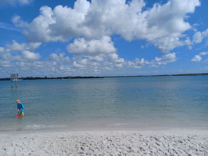Where Sea Turtles Come to Nest Where Sea Turtles Come to Nest