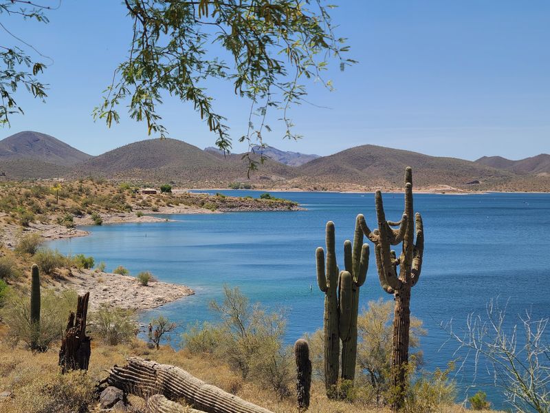 Where The Desert Suddenly Turns Blue