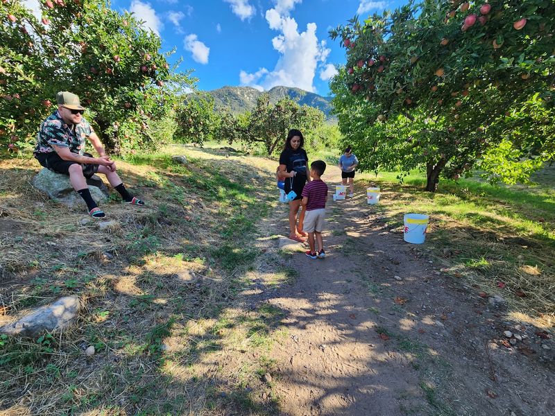Where This Mountain Orchard Actually Sits Where This Mountain Orchard Actually Sits