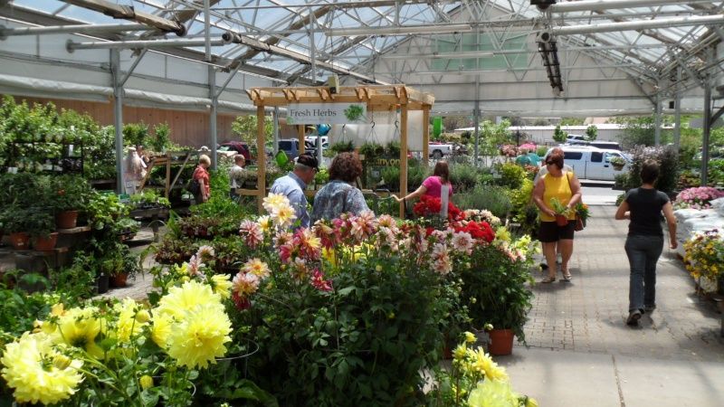 Where To Find This Prescott Plant Haven Where To Find This Prescott Plant Haven