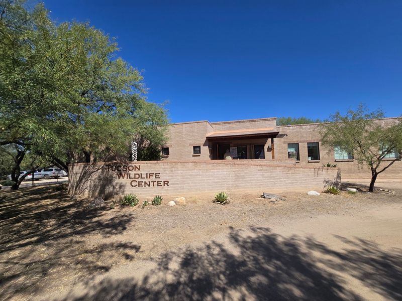 Where the Desert Meets a Rescue Mission