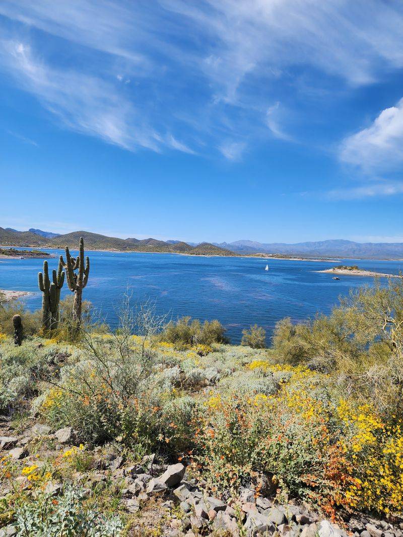 Where the Desert Meets the Water Where the Desert Meets the Water