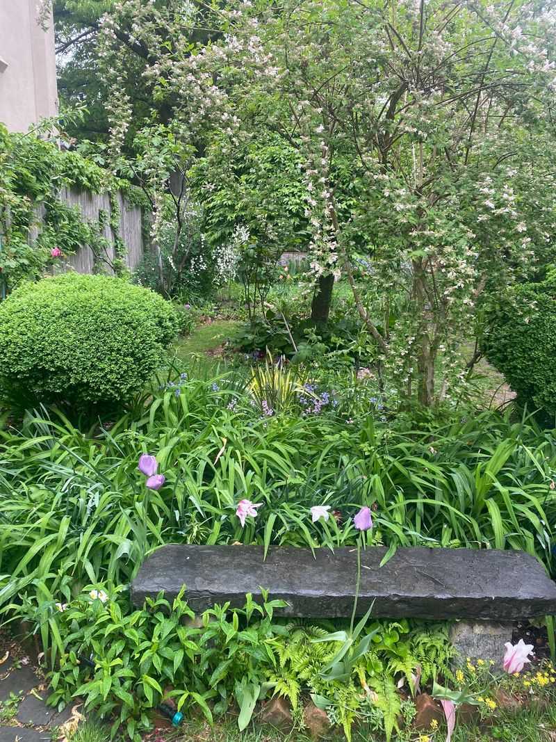 Where the Garden Actually Sits Where the Garden Actually Sits