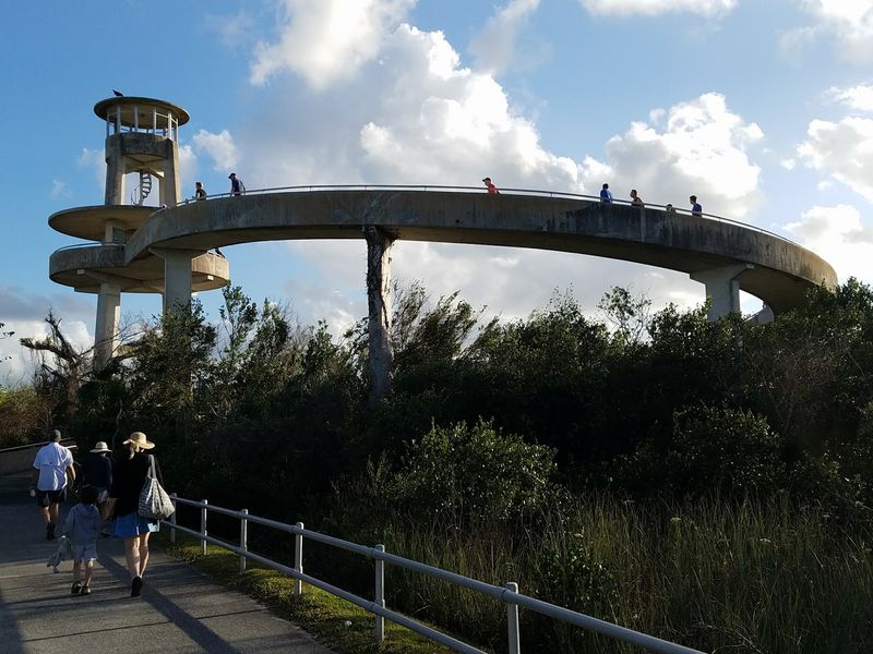 Where the Loop Begins in the Everglades