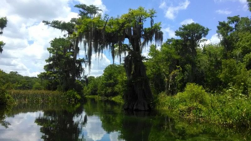 Where the Spring Rises in North Florida Where the Spring Rises in North Florida