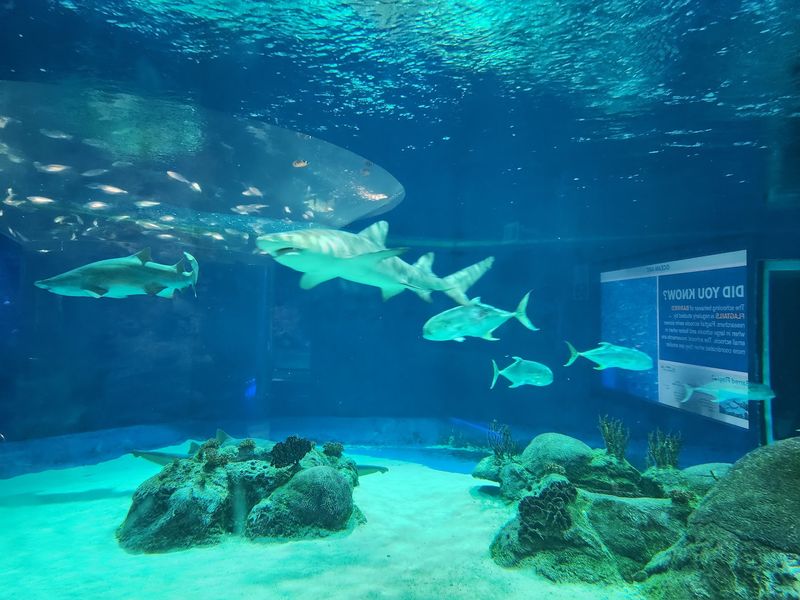 Where the Underwater World Lives Where the Underwater World Lives